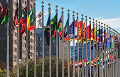 Flags from all countries outside of the UN building in Manhattan.